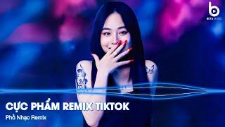 Nhạc Remix TikTok Triệu View  BXH Nhạc Trẻ Remix Hay Nhất Hiện Nay - Top 30 Nhạc TikTok Hay 2024