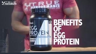 True Performance Nutrition - Egg Protein