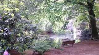 MERU Campus and Forest Park - Spring 2015