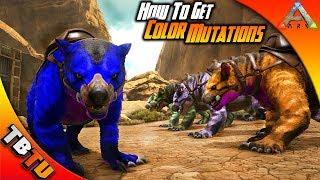 BEST WAY TO GET COLOR MUTATIONS! ARK Mutation Guide E1 - Ark Survival Evolved