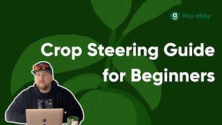 The Ultimate Crop Steering Guide for Improved Yield & Quality