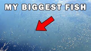 After 500 Days I Caught My BIGGEST Fish Ever...