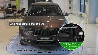 Шкода Октавия Спецверсия Хоккей эдишн, Skoda Octavia hockey edition. Что есть? Сколько стоит?