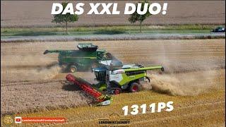 DAS XXL DUO! Getreideernte mit Großmähdrescher! 1311PS im Einsatz Weizen dreschen Landwirtschaft