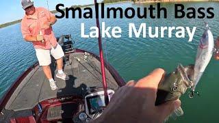 Smallmouth Bass on Lake Murray Top Water Action #bassfishing