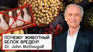 Почему Животный Белок Вреден? Dr. John McDougall | Джон МакДугалл