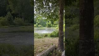  #pondcleaning