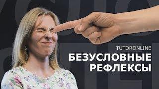 Биология| ГОТОВИМСЯ К ЕГЭ. Анатомия человека. Безусловные рефлексы