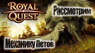 Royal Quest:Рассмотрим Механику Петов(для новичков)(От Нуго)