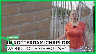 In Charlois wordt olie gewonnen: 'Ik moest gelijk aan Groningen denken’ | TRENDING