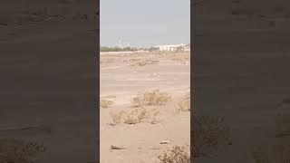 #mohamed Video oman al bashir city 