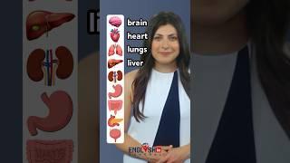 Human Body Internal Organs - English Vocabulary