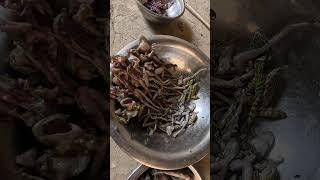 #himalayanlife