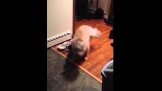 IMG 0127