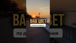 КАКОЙ ВАШ ЦВЕТ?