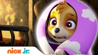 Щенячий патруль | Щенки спасают Скай | Nick Jr. Россия