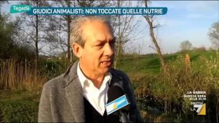 Giudici animalisti: non toccate quelle nutrie