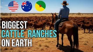 Top 10 Largest Active Cattle Ranches in the World (By Land Size) — One is 7x King Ranch!