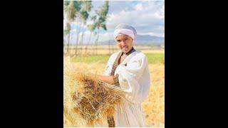መሀል ሜዳ መንዝ መሀል ሜዳ
