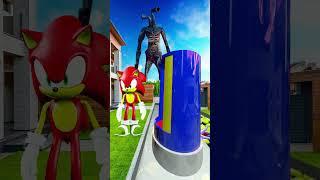 Sonic is running away from the Siren Head Pipe head! #shorts  #sonic