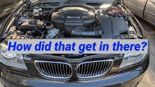 EPISODE 3: BMW 130i S65 V8 Engine Swap with DCT @ Brintech Customs