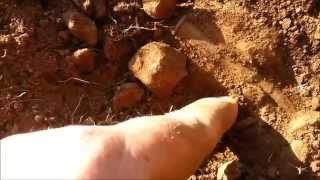 The Hunt for Anglo Boer War Relics - BLUE whale found!