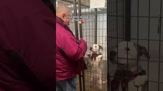 Please help folks…  #dog #shelter #slippers