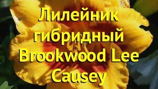 Лилейник гибридный Бруквуд Ли Кози. Краткий обзор, описание hemerocallis Brookwood Lee Causey