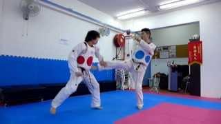 Taekwondo Kick # 20