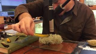 I-Park Moss and Feather Demo