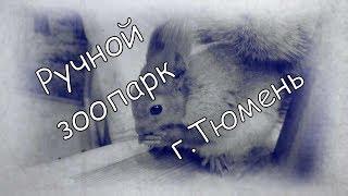 Семейный отдых/ручной зоопарк/г.Тюмень