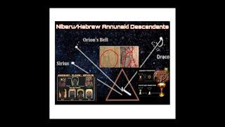 Not Every Starseed is Hebrew Israelite, We All Have Distinct 3D and Cosmic Trees within Source