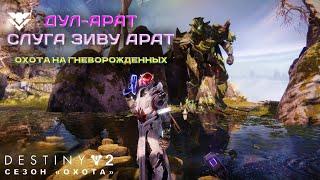 Destiny 2 сезон "Охота" - Гневорожденный Дул-Арат232