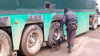 Задержали контрабанду на 100 тысяч!