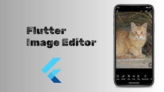 Flutter image editor | Complete image editor App in Flutter