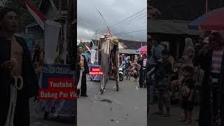 Viral Karnaval Unik Karnaval Jajag Banyuwangi 17 Agustusan Kreatif