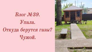 Влог №39. Упала/ Откуда берутся газы?/ Чужой. 28 мая - 1 июня.