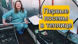 ПЕРВЫЕ ПОСЕВЫ В ТЕПЛИЦЕ | НЕ НУЖНО ЖДАТЬ СЕЙТЕ СЕЙЧАС | Светлана Самойлова