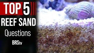 Live Sand & Your Reef Tank...What You NEED to Know!