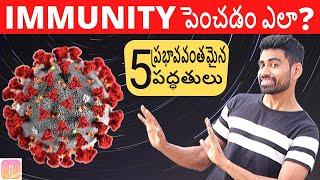 Immunityని స్పీడ్ గా పెంచడానికి 5 ప్రభావవంతమైన పద్ధతులు | Fit Tuber Telugu