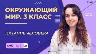 Питание человека. Видеоурок 19. Окружающий мир 3 класс