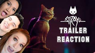 Stray PS5 Trailer REACTION | BlueTwelve Studio and Annapurna Interactive