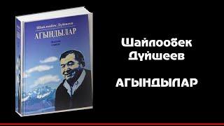 ШАЙЛООБЕК ДҮЙШЕЕВ I АГЫНДЫЛАР I АВТОРДУН КӨРКӨМ ОКУУСУНДА I