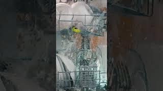 Inside a dishwasher #shorts