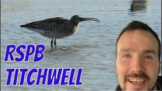 British Wildlife - WADING BIRDS at RSPB Titchwell