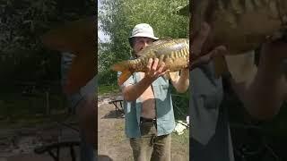 Короп 4кг! (4 kilograms carp!)