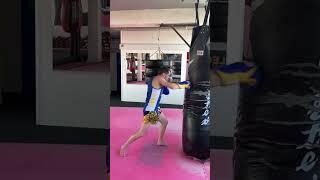 Power Kicks in Muay Thai - How to Hit Harder with Damien Trainor