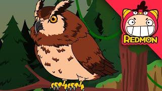 Golden Eagle vs Eagle Owl | Animal Battle | 4K cartoon | REDMON