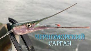 Ловили САРГАНА, а влетела трофейная СТАВРИДА. Морская рыбалка на БОМБАРДУ.