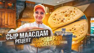 Сыр Маасдам рецепт / Первый в России бесплатный мастер класс по сыроделию / Сыроварня Fansel Pro